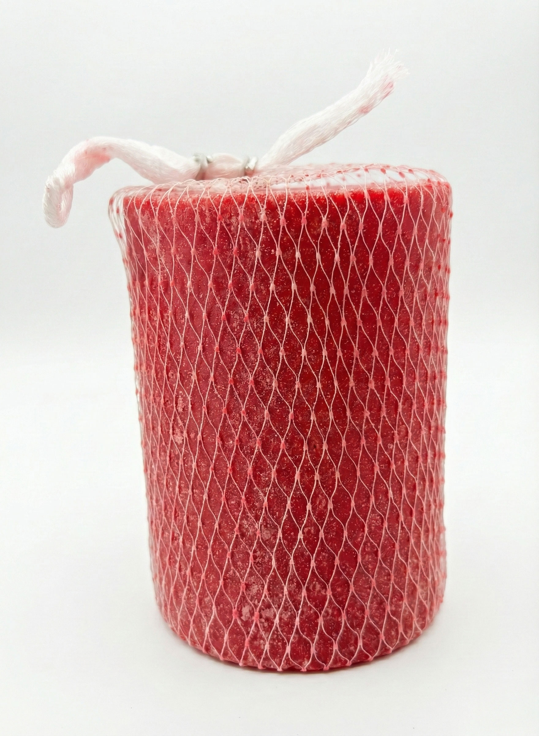 baceteria2